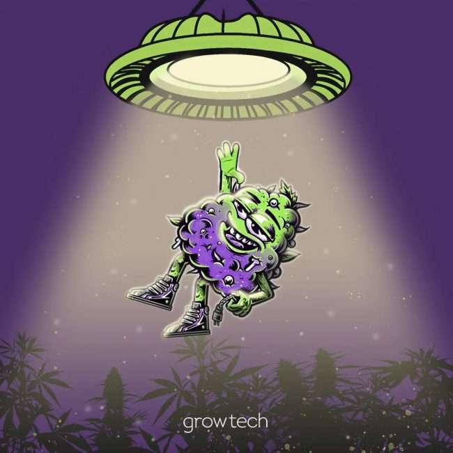 GROWTECH